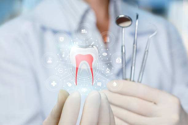 Best Traditional Braces  in Hyde Rk, PA